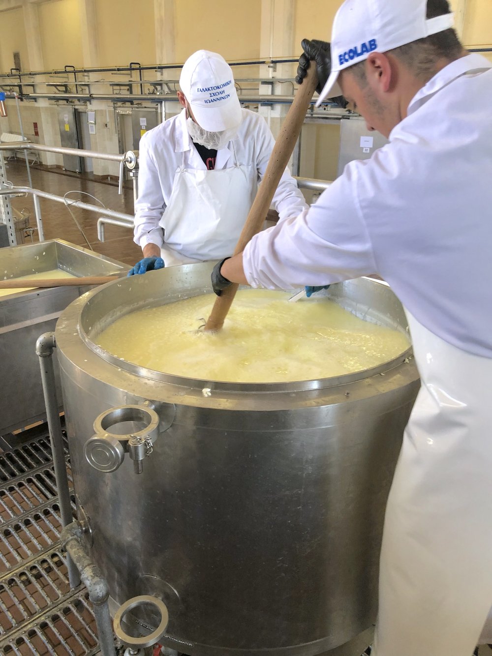 curds and whey in cheesemaking
